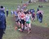 Quarter-finals of France: the exceptional Sunday of the Charente cross country