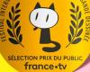 Why does the France Télévisions public price look like other prices?